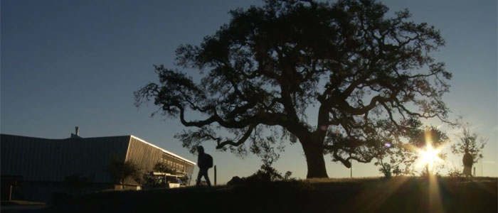 The Spirit of UCSC - Video